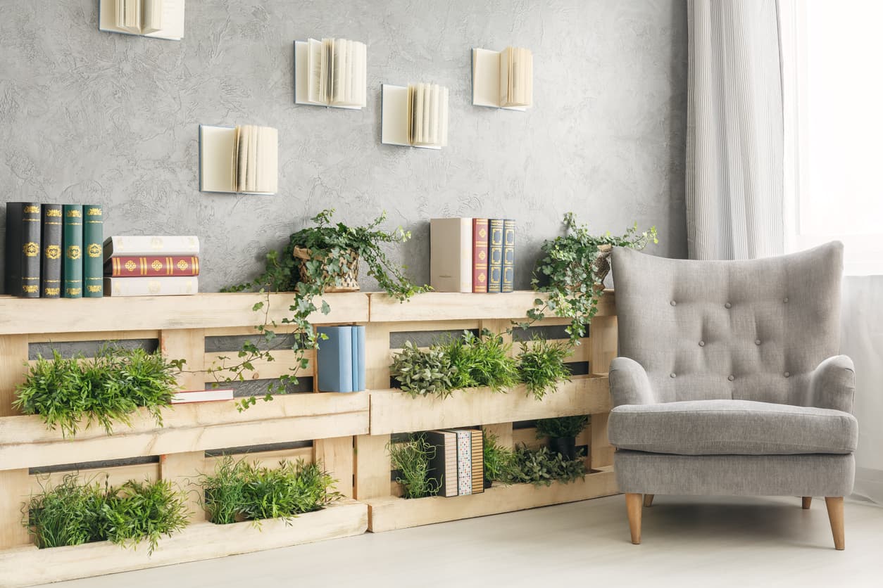Decoración plantas de interior
