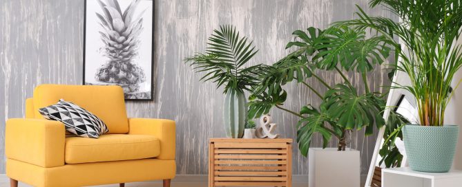 Decoración con plantas
