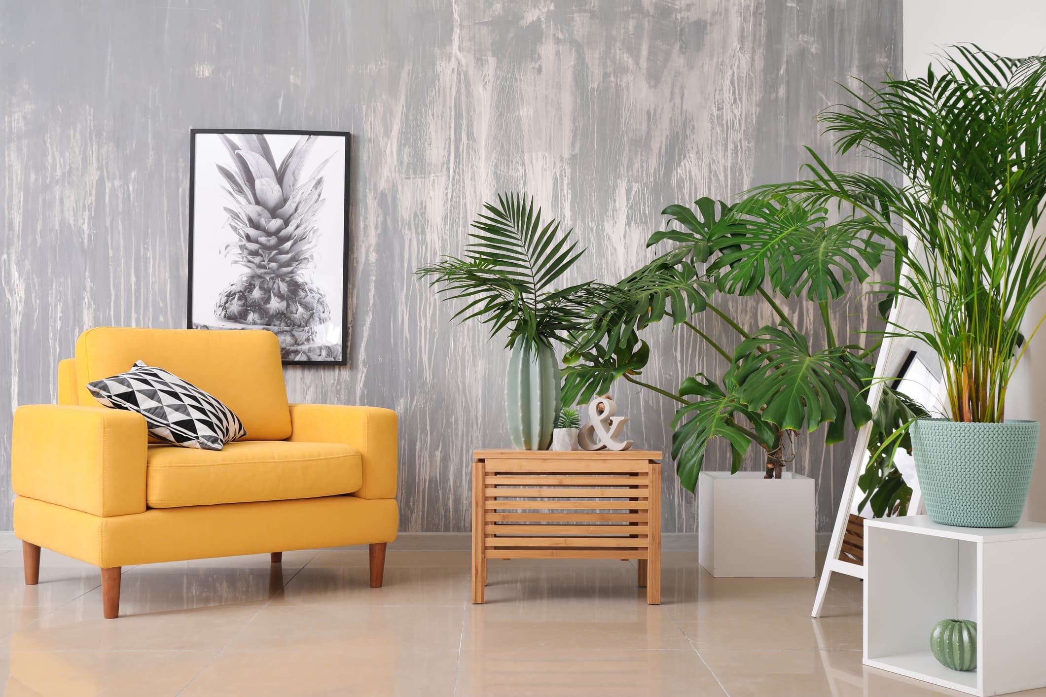 Decoración con plantas